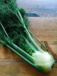 Vegetables: Fennel Bulb