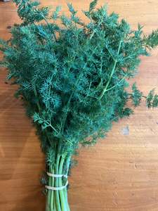 Products: Dill