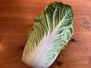 Products: Chinese Cabbage