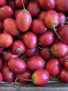 Products: Tamarillo