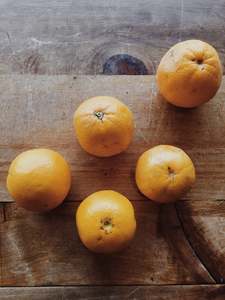 Oranges ‘Navel'