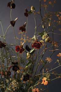 Art: Wild Dill | Photographic Print | Danelle Bohane + Leaf & Honey