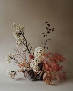 Art: Lumiere | Photographic Print | Danelle Bohane + Leaf & Honey