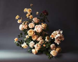 Art: Rose | Photographic Print | Danelle Bohane + Leaf & Honey