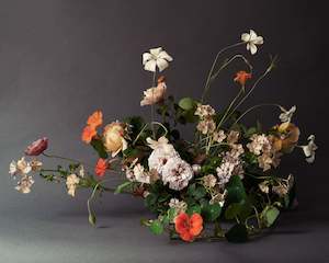 Art: Phlox | Photographic Print | Danelle Bohane + Leaf & Honey