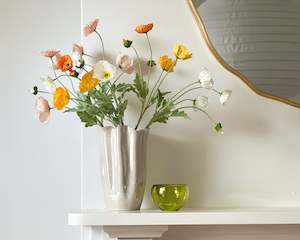 Icelandic Poppy Stem