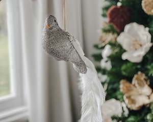 Long Tail Bird Decoration