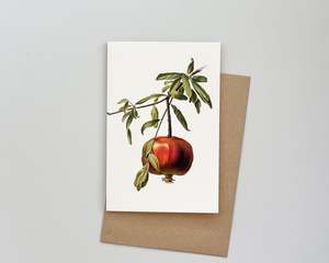 Vintage Pomegranate Card
