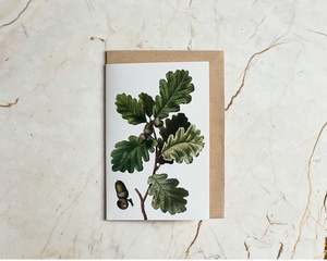 Books: Acorns Card
