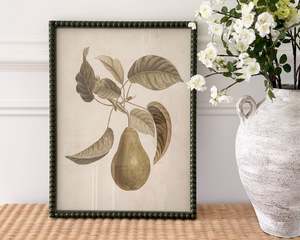 Art: Framed Pear Print