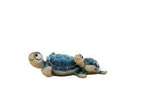 Birds: Sea turtle mother baby