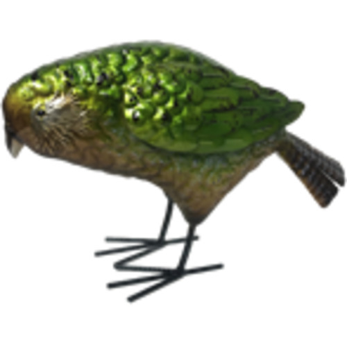 Birds: Freestanding kakapo