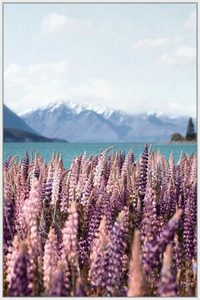 Canvas Art: Alpine Pink Canvas