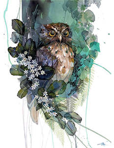 Morepork Putaputaweta small box frame