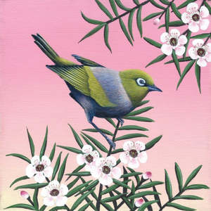 Small Boxed Frame Art Nz Artists: Waxeye on Manuka small box frame