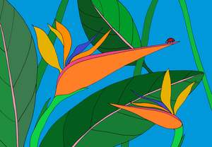 Cards Lra: Birds of Paradise Card