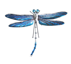 Birds: Blue dragonfly metal