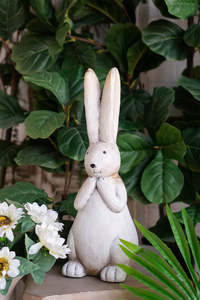 Birds: Rabbit standing long ears