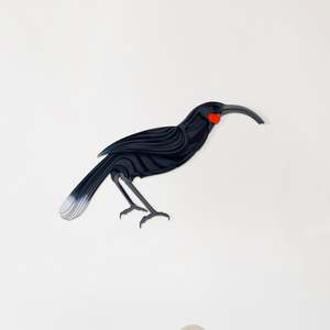 Huia Painted