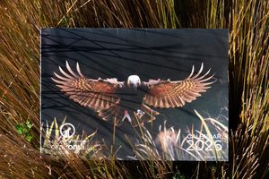 Orokonui Calendar - Orokonui Ecosanctuary