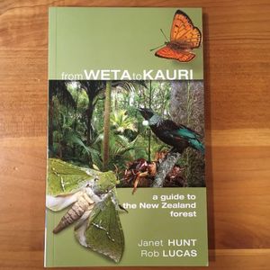 From Weta To Kauri - Orokonui Ecosanctuary
