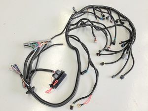 Products: LS1 STANDALONE HARNESS 4L60E 5.7 CHEV HOLDEN WIRING - Osaka Auto Parts