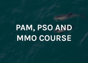 PAM, PSO and MMO courses Dec 2025