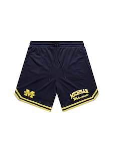 NCAA Team Logo Mesh Shorts - Michigan Wolverines