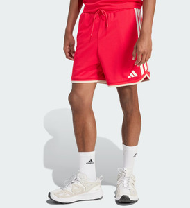 Dri Fit Shorts: AA-V29 (Adidas stadium mesh shorts pure ruby red/crystal linen/off white) 122594089