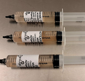 Products: Liquid Cultures MycoLogic