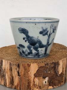 Dinosaur Series Soba cups by Studio Wani