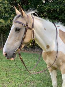 Flinders Edge Sewn Extended Head Barcoo Bridle