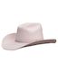 Sparks Nevada Wool Hat