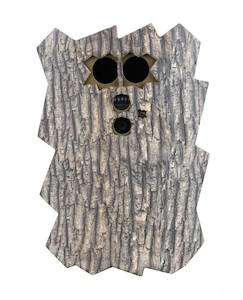 Minox DTC 460 Slim Camouflaged Trail Camera