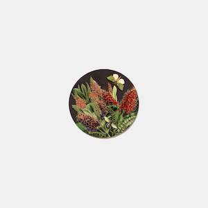 Hebe & Moth - Coaster