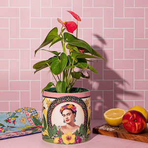 Garden Plates: Mexican Folklore Medium - Planter Pot