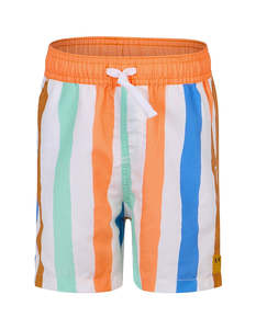 Rock Your Kid Yardage Print Boardshort - Multi Stripe