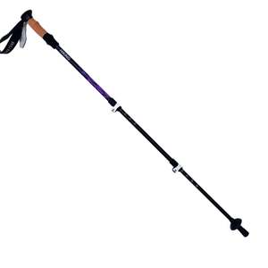 Tramping Accessories: High Trek Peak Walking Pole