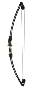 Compound Bow: 12LB KIDS COMPOUND BOW SET