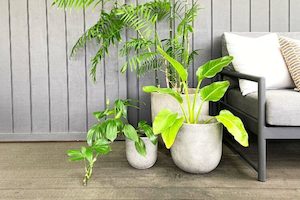 Outdoor Pots Auckland - Outside Space: Concrete Outdoor Pots - Outside Space