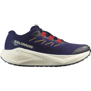 All Running Gear: Salomon Men's Aero Blaze 3 GRVL Trail Running Shoes