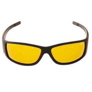 Accessories: CDX Sunglasses DA Fonze