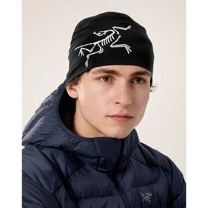 Arcteryx: Arc'teryx Satoro Merino Toque
