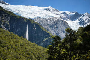 Products: Rob Roy Glacier Track - Guided Hike