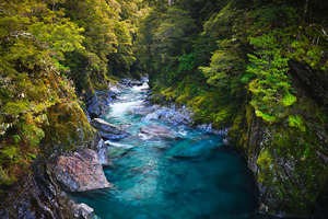 Products: Blue Pools Track - Guided Walk