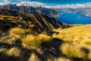 Products: Isthmus Peak Track - Guided Hike