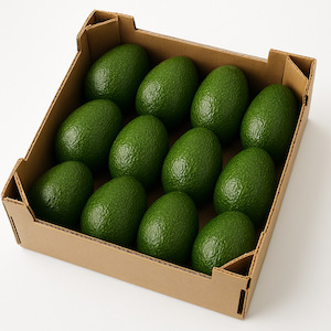 Avocado 12 Pack -Large