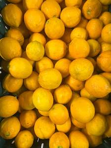 Lemons - Meyer Organic