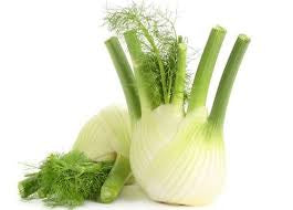 Vegetables: Fennel