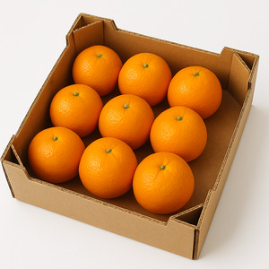 Bulk Boxes: Gisborne Juicing Oranges 4kg Box